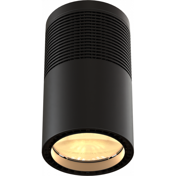 [NA0256] EclPendant VW