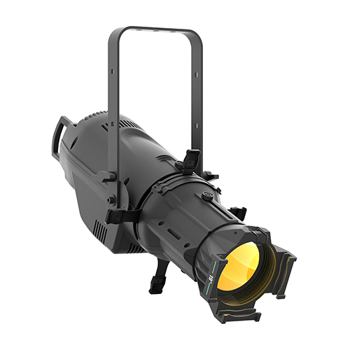 [ECLCTPLUSBK] ECLCTPLUSBK